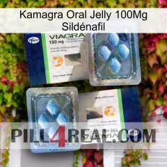 Kamagra Oral Jelly 100Mg Sildénafil viagra5